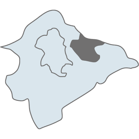 彌月試吃,彌月油飯,彌月油飯試吃,試吃宅配